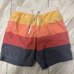 Chubbies Sunset Striped Shorts
